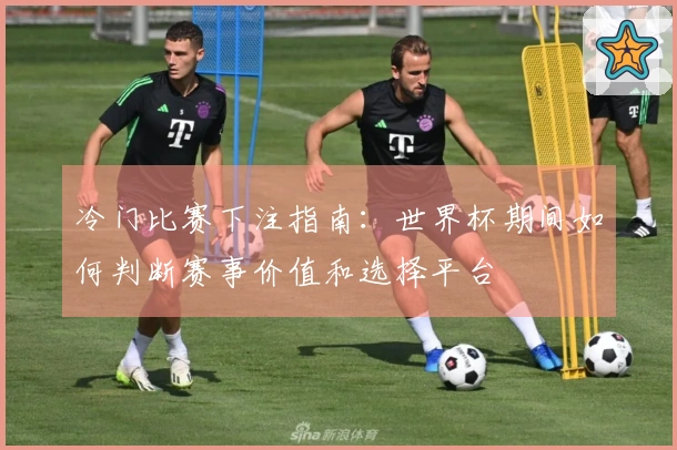 冷门比赛下注指南：世界杯期间如何判断赛事价值和选择平台