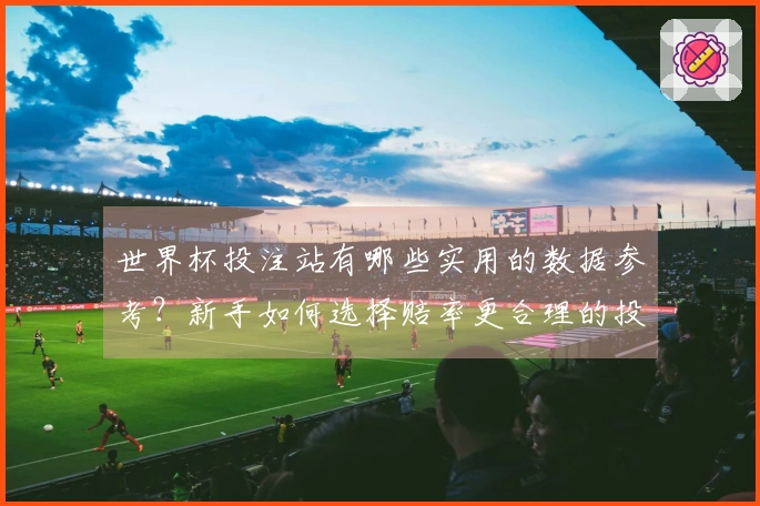 世界杯投注站有哪些实用的数据参考？新手如何选择赔率更合理的投注平台
