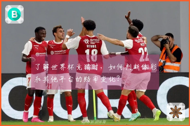 了解世界杯竞猜时，如何判断体彩和其他平台的赔率变化？